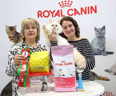 �������� �����  27-28 �������  20161-31-169A0298.jpg