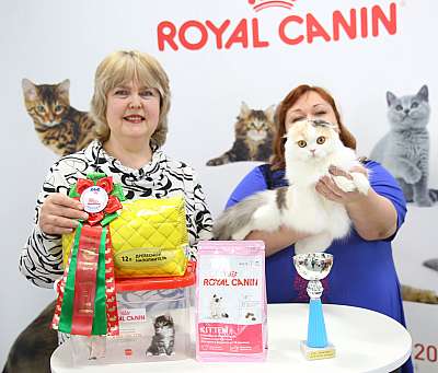 �������� �����  27-28 �������  20162-40-169A0295.jpg