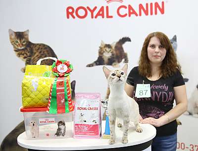 �������� �����  27-28 �������  20166-87-169A0280.jpg