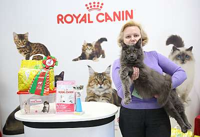 �������� �����  27-28 �������  20167-4-169A0266.jpg