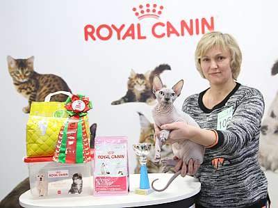 �������� �����  27-28 �������  20168-105-.jpg