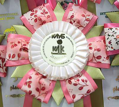 �������� �����  27-28 �������  2016169A9978.jpg