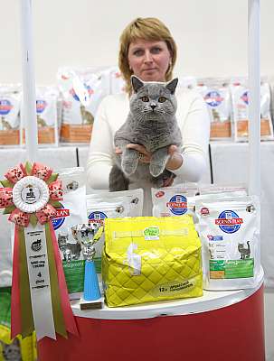 �������� �����  27-28 �������  20164-60-169A2363.jpg