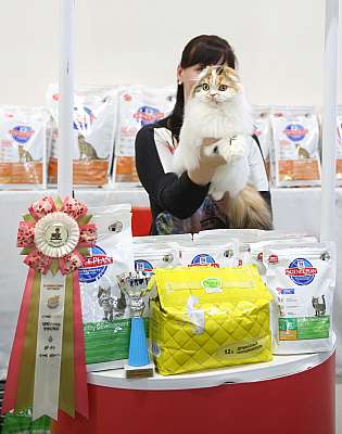 �������� �����  27-28 �������  20166-39-169A2353.jpg