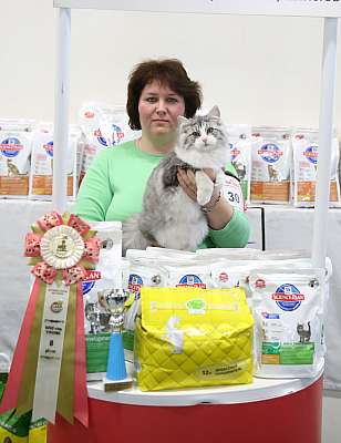 �������� �����  27-28 �������  20168-30-169A2333.jpg