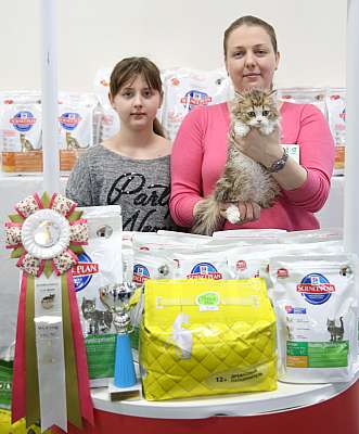 �������� �����  27-28 �������  20169-37-169A2326.jpg