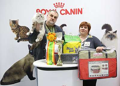 �������� ����� 12-13 ����� �������� ����� 12-13 ����� 1-43-169A9074.jpg