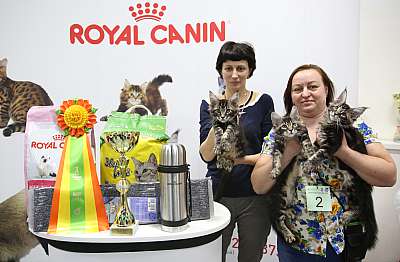 �������� ����� 12-13 ����� 11-2-169A8996.jpg