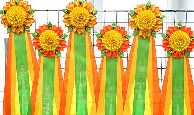 �������� ����� 12-13 ����� 169A7473.jpg