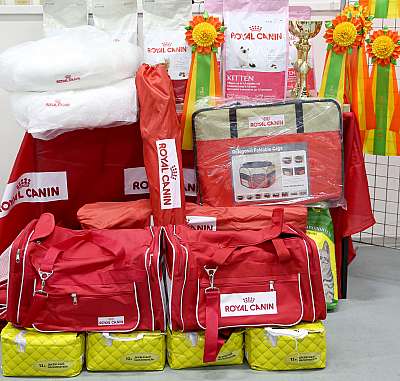 �������� ����� 12-13 ����� 169A8887.jpg