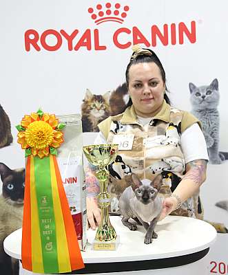 �������� ����� 12-13 ����� �������� ����� 12-13 ����� 2-96-169A9078.jpg