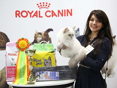 �������� ����� 12-13 ����� 8-37-169A9020.jpg