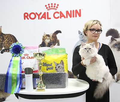 �������� ����� 12-13 ����� 10-40-169A0022.jpg