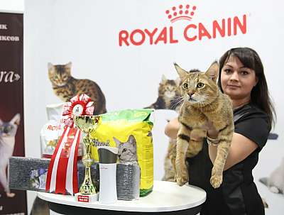 �������� ����� 12-13 ����� 12-114-169A0009.jpg