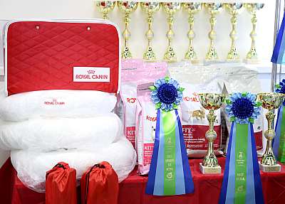 �������� ����� 12-13 ����� 169A0045.jpg