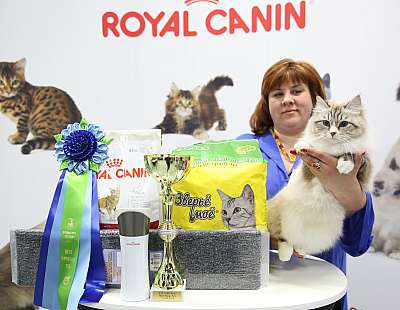 �������� ����� 12-13 ����� 5-43-169A0049.jpg