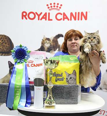 �������� ����� 12-13 ����� 8-45-169A0034.jpg