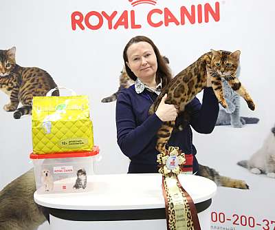 �������� ����� 12-13 ����� 2-52-169A7595.jpg