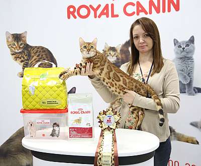 �������� ����� 12-13 ����� 3-51-169A7588.jpg