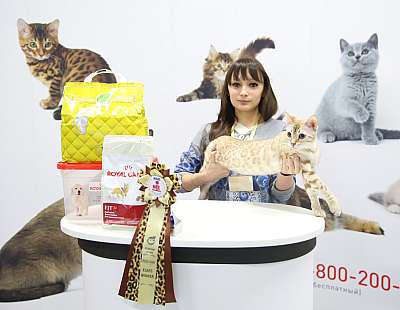 �������� ����� 12-13 ����� 4-53-169A7604.jpg