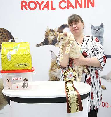 �������� ����� 12-13 ����� 5-54-169A7599.jpg