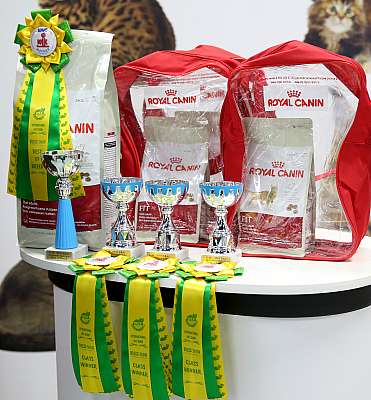 �������� ����� 12-13 ����� 169A8586.jpg