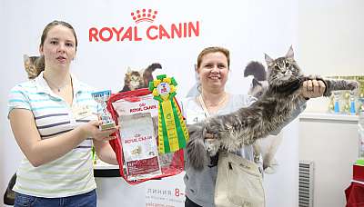 �������� ����� 12-13 ����� 7-4-169A7893.jpg