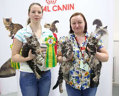 �������� ����� 12-13 ����� 8-2-169A7895.jpg