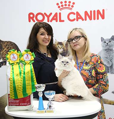 �������� ����� 12-13 ����� 1-40-169A8711.jpg