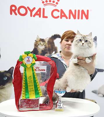 �������� ����� 12-13 ����� 3-43-169A8727.jpg