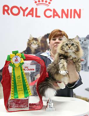 �������� ����� 12-13 ����� 4-45-169A8723.jpg