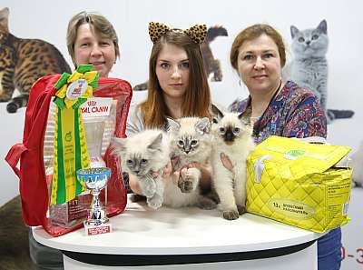 �������� ����� 12-13 ����� 6-35-169A8740.jpg