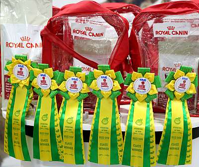 �������� ����� 12-13 ����� 169A7653.jpg