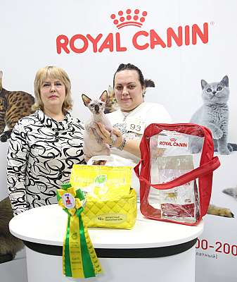 �������� ����� 12-13 ����� 2-95-169A7733.jpg