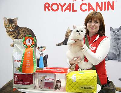 �������� ����� 12-13 ����� 10-62-169A8354.jpg