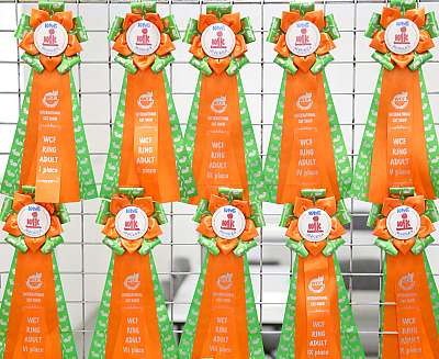 �������� ����� 12-13 ����� 169A7474.jpg