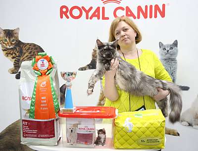 �������� ����� 12-13 ����� 6-17-169A8383.jpg