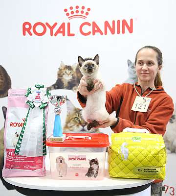 �������� ����� 12-13 ����� 10-121-169A9674.jpg