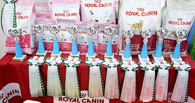 �������� ����� 12-13 ����� 169A9159.jpg