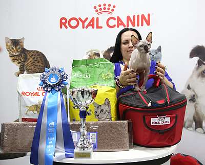 �������� �����  9-10 ������  1-148-169A7109.jpg