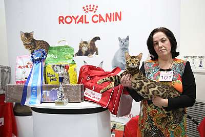 �������� �����  9-10 ������  10-101-169A7030.jpg