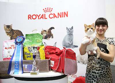 �������� �����  9-10 ������  12-131-169A7012.jpg