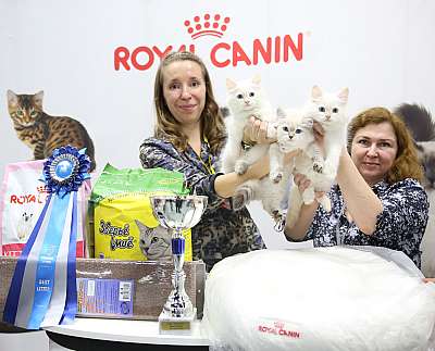 �������� �����  9-10 ������  13-49-169A6983.jpg