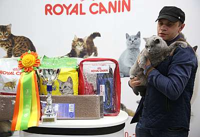 �������� �����  9-10 ������  14-162-169A6968.jpg