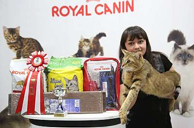 �������� �����  9-10 ������  15-164-169A6964.jpg