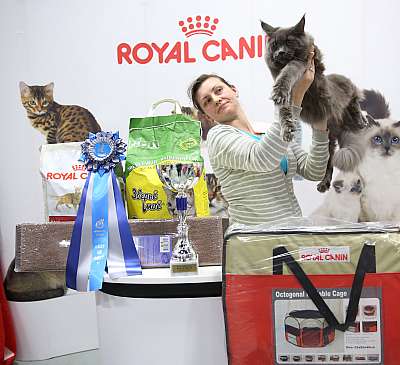 �������� �����  9-10 ������  2-2-169A7121.jpg