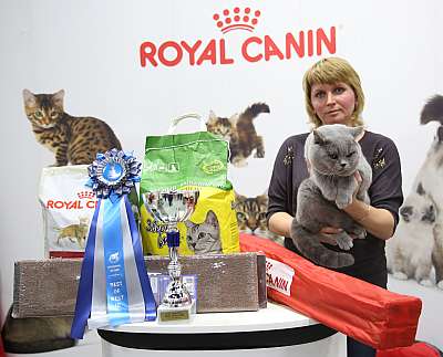 �������� �����  9-10 ������  3-156-169A7095.jpg