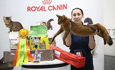 �������� �����  9-10 ������  4-67-169A7089.jpg