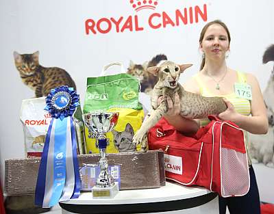 �������� �����  9-10 ������  5-175-169A7083.jpg