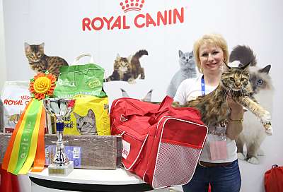 �������� �����  9-10 ������  6-27-169A7039.jpg